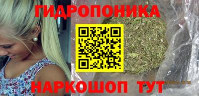 гидропоника Азнакаево