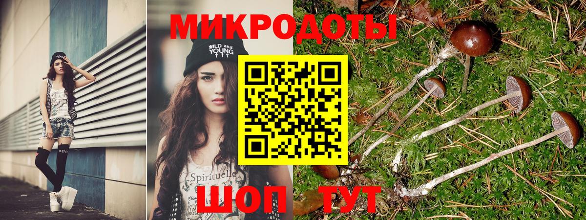 Амурск  Псилоцибиновые грибы Psilocybine cubensis  хочу   Вход с VPN 